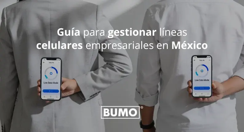 Guia lineas mexico 